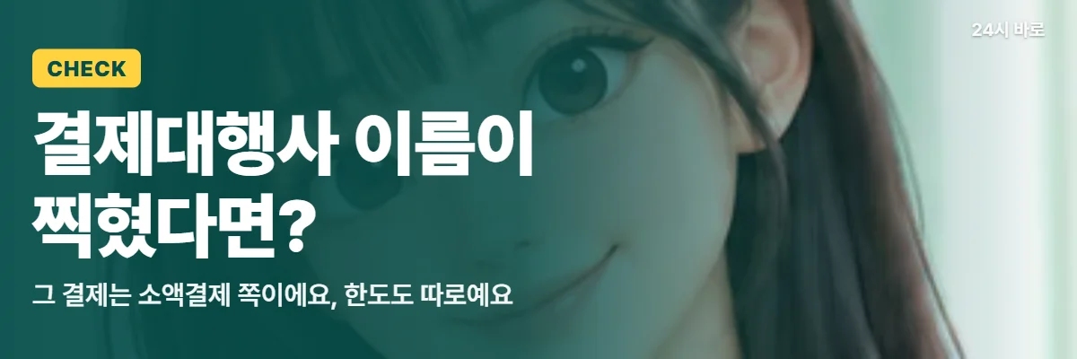 「결제대행사 이름이 찍혔다면?」 글과 함께 작은 저울을 든 긴 머리 여성이 두 결제의 차이를 따져 보는 모습